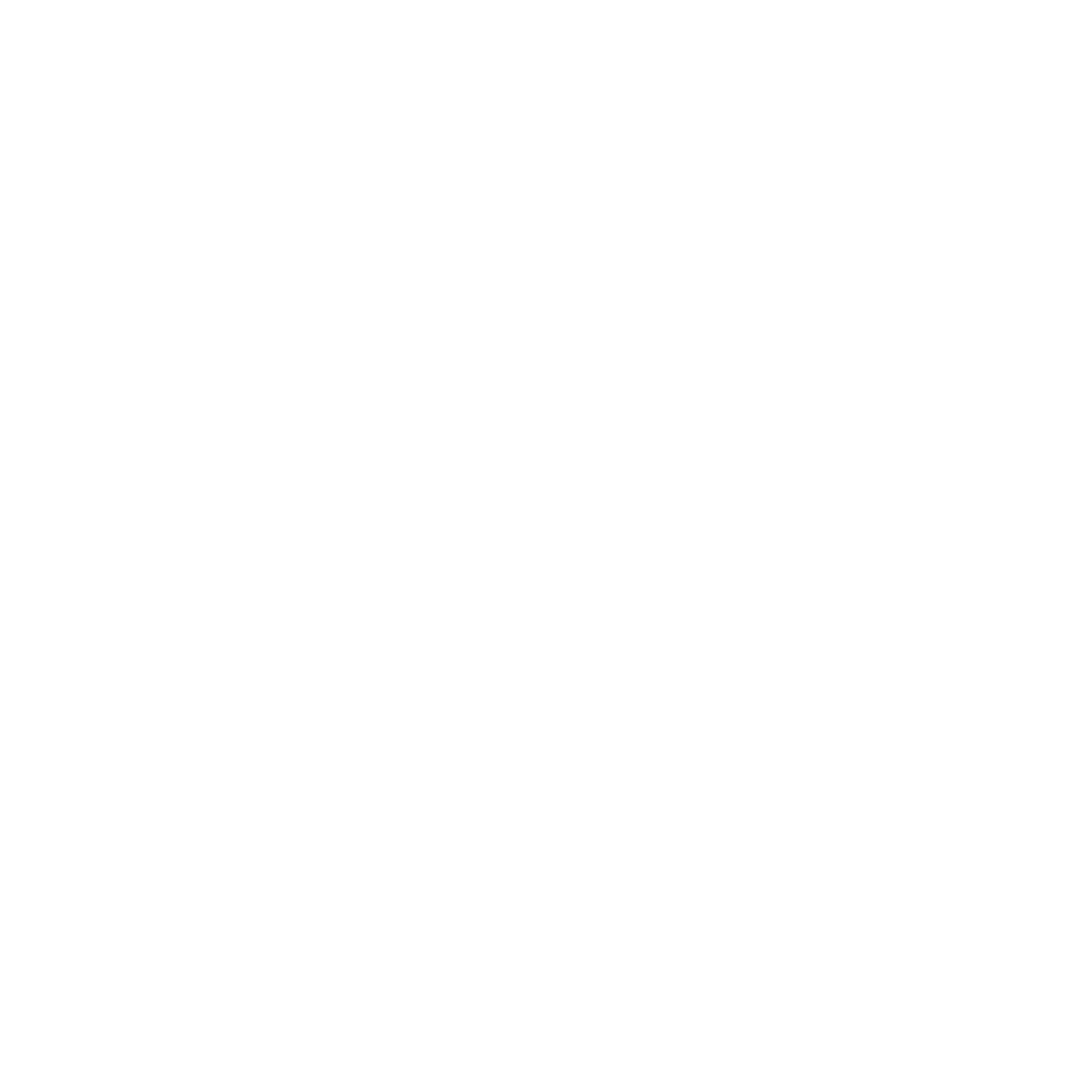 Presse-fotos.dk - Logo White PNG