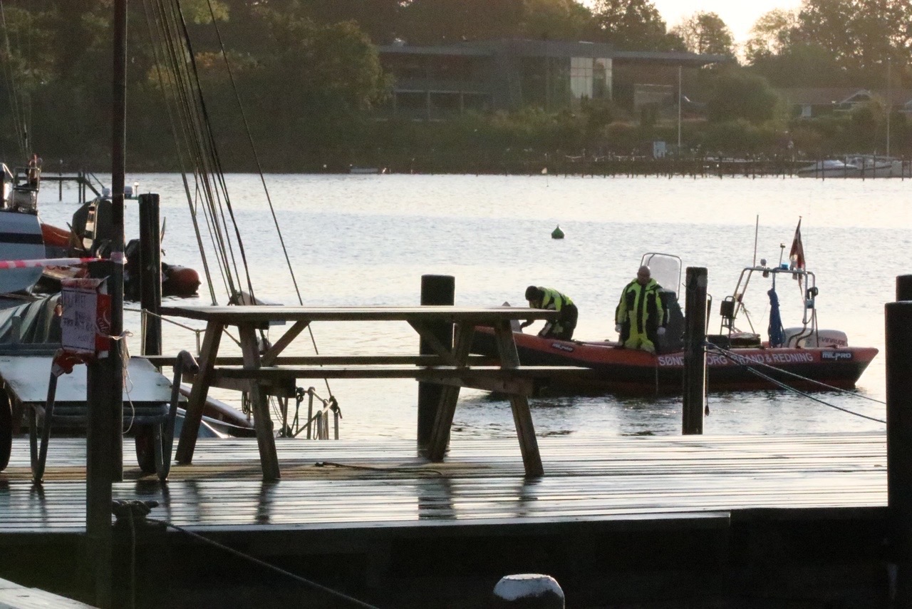 Stor redningsaktion: Hund svømmede træt rundt i Limfjorden