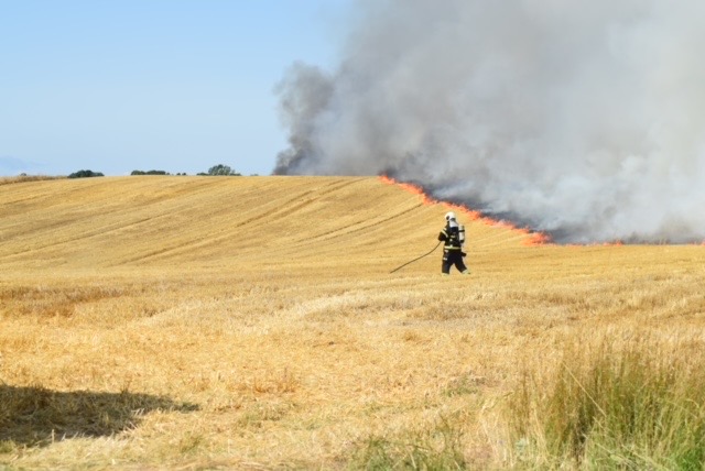 Voldsom Markbrand - Brandfolkene Kæmper Mod Flammerne