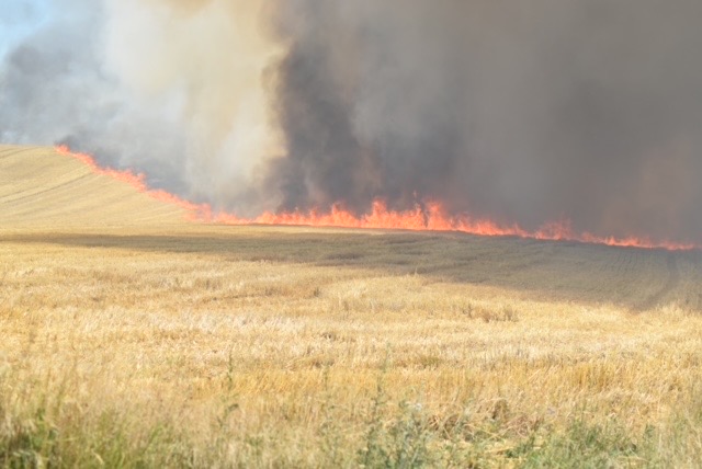 Voldsom Markbrand - Brandfolkene Kæmper Mod Flammerne