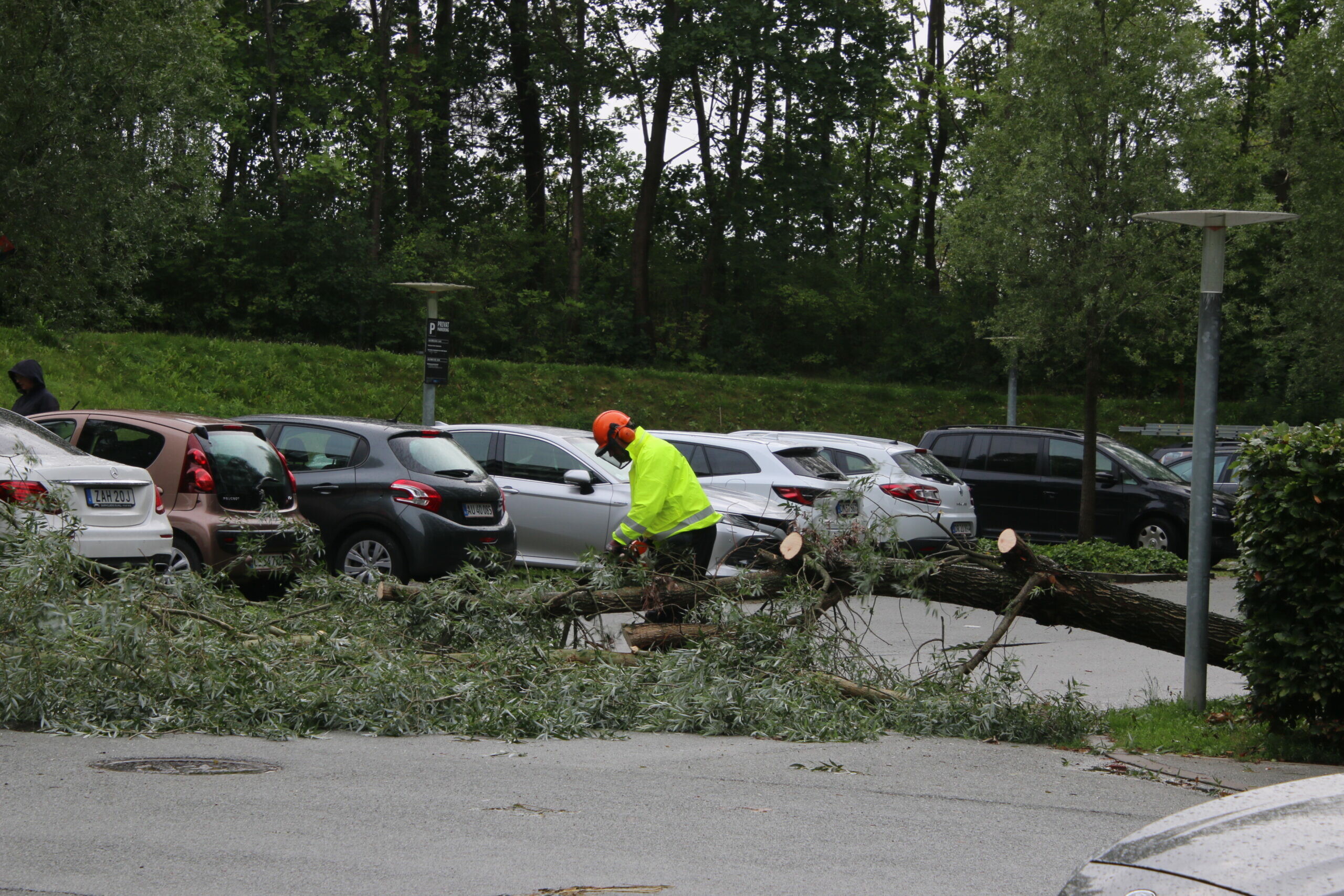 Træ væltet ved parkeringsplads