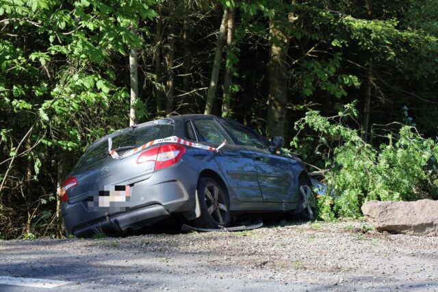 Vejle: Mand rammer træ i solouheld