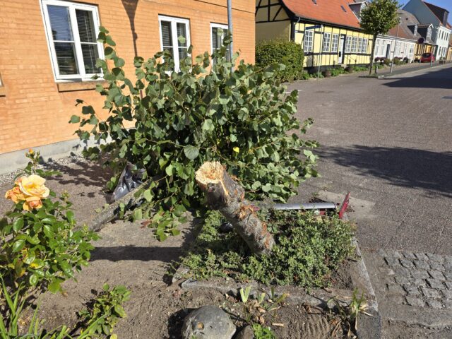 Spritbilist rammer blomster, træer og jernstolpe