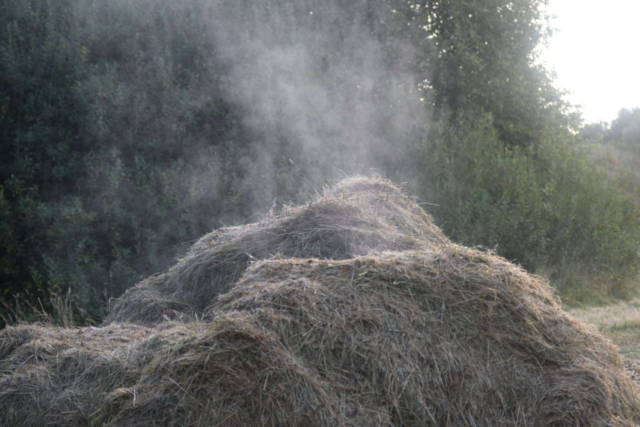 Herlev: Brandvæsenet rykker til melding om naturbrand