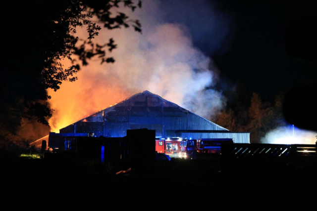 Kæmpe gårdbrand: Flere 1000 grise i fare