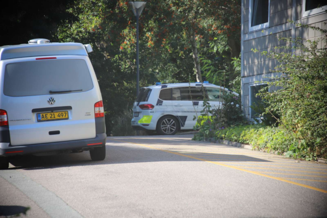 BREAKING: 86-årig kvinde stukket ned