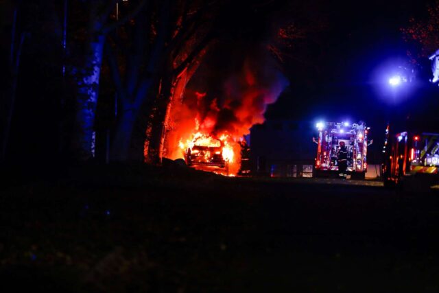 BMW udbrænder: Stod placeret i skovkant