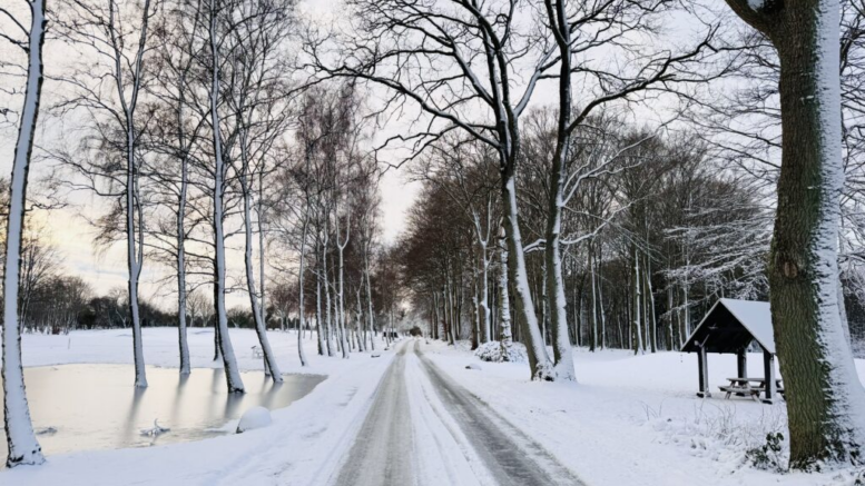 Sneen kommer til Danmark om få uger.