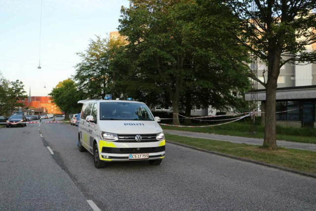 Tilfældig voldtægt: Kom gående ved botanisk have