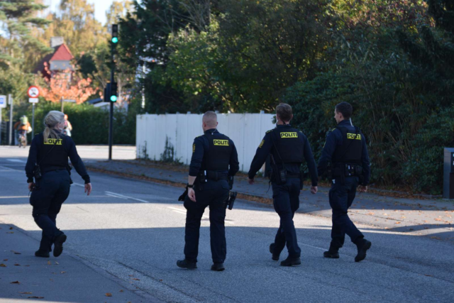 Hændelse i stor og fin villa