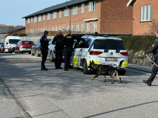 Skyder ud af bil efter tilfældige