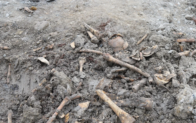 Menneskeknogler skyller op på dansk strand