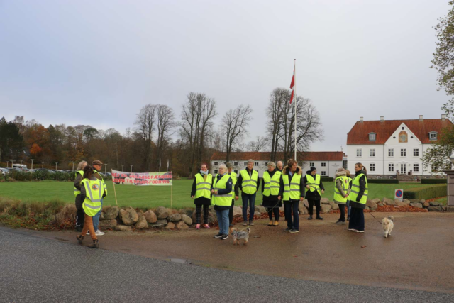 Demonstration i Vejle: Dyrevelfærd i fokus