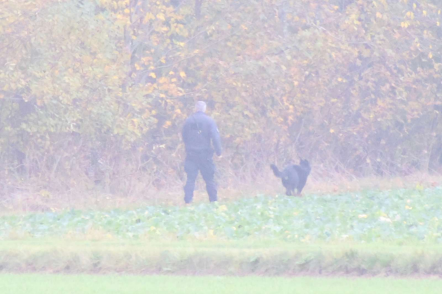 Myndigheder intensiverer indsatsen i skovområde