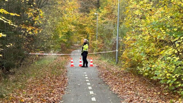 Tilskadekommen fundet af forbipasserende: Massiv udrykning