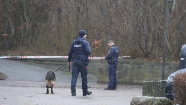 Skolelærer mishandler børn i årevis: Skulle tage armbøjninger i iskoldt vand