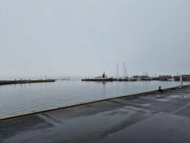 Forbipasserende fandt død mand i havnen