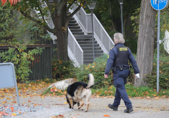 Tæskede og voldtog kvinde på Vestegnen: Ville kidnappe hendes søn, hvis hun gik til politiet