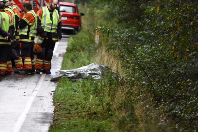 Hesteflok kørt ned af bus: To døde