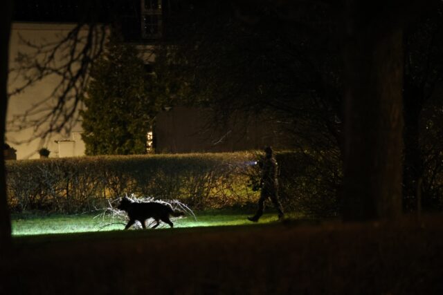 Hundepatruljer og betjente i hele byen