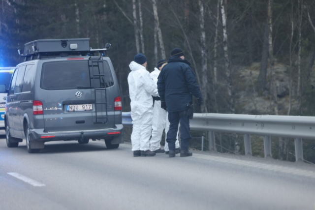 Ligdele fundet i grønt område