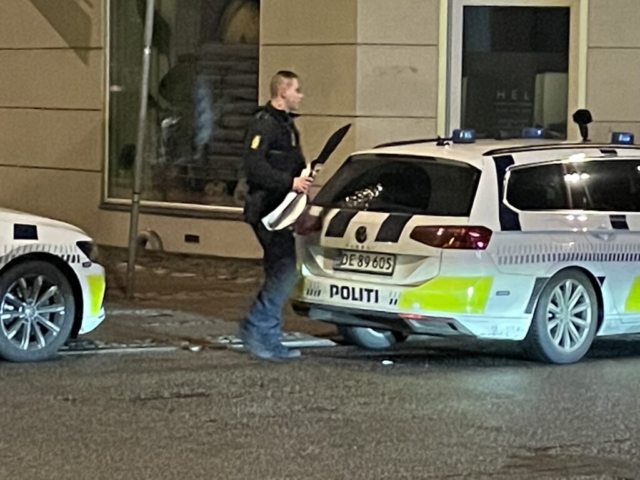 Bruger machete i brutalt overfald