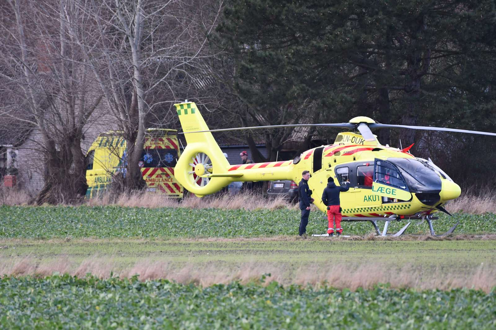 Lægehelikopter lander ved voldsom ulykke: Mand mast under træ