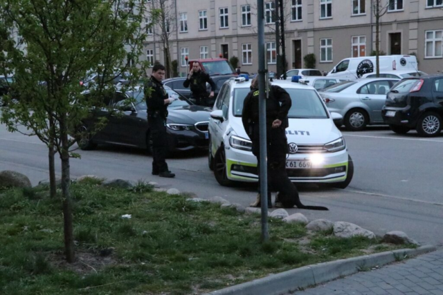 Brager gennem byzone med 114 km/t: Svinedyr BMW beslaglagt