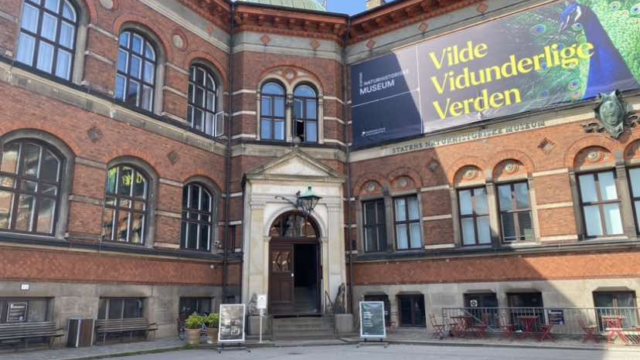 Vinterferie på Statens Naturhistoriske Museum: Aktiviteter for hele familien