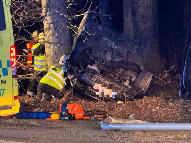 Lander på taget: Audi smadrer ud i skovområde