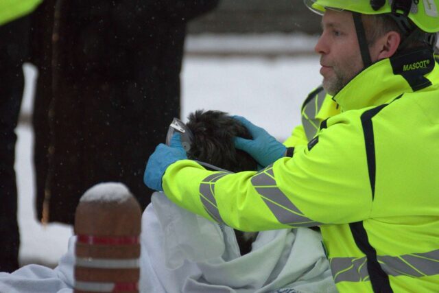 Dramatisk redning: Hund trukket ud af brændende lejlighed i sidste sekund