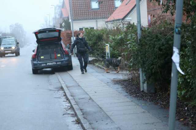 Unge drenge: Kastede fra motorvejsbro