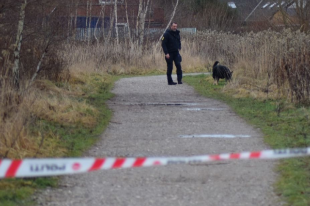 Haveejere i chok: Kolonihavehus ramt af skud