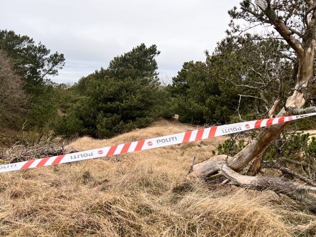 18 granater skal tilintetgøres på Fanø