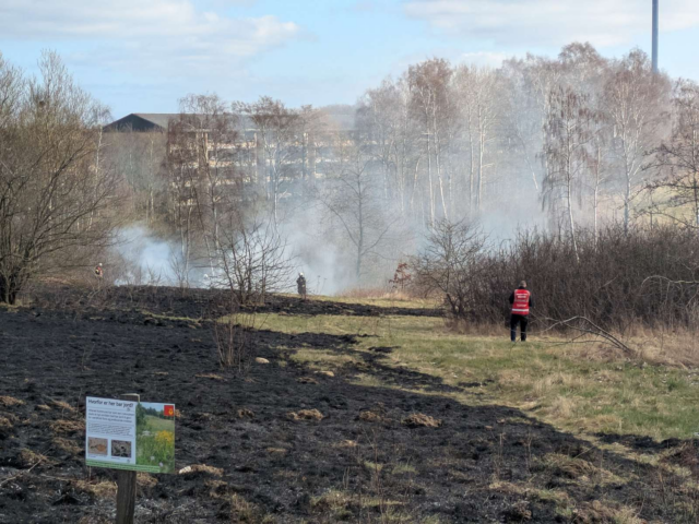 Hillerød: Større naturbrand hærger område