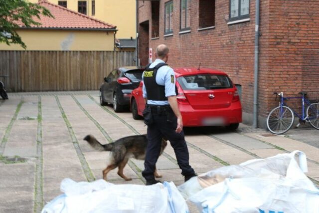 Vidne i chok: Ung kvinde voldtaget på åben gade