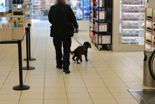 Narkohunde løber rundt i Rødovre Centrum