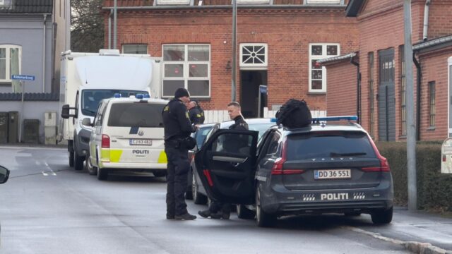 Vanvidshændelse i lyskryds: Danskere ser måbende til blodigt orgie