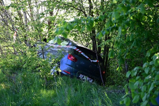 Bil brager ind i grønt område