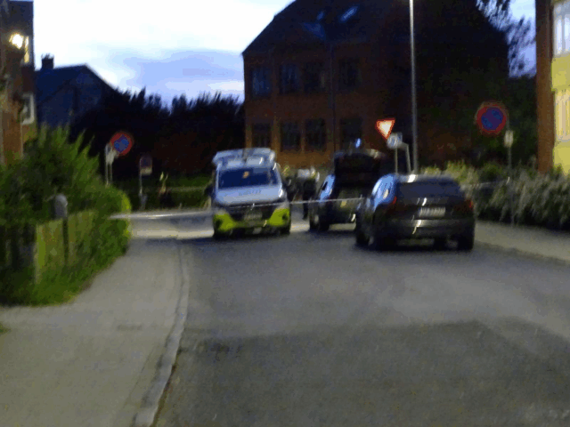 Korsør: Massiv politiudrykning til adresse