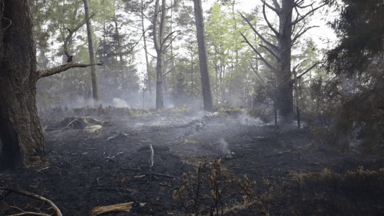 Tørkesommer - brand i skov