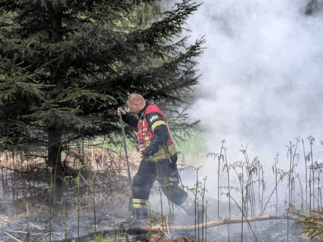 “Det er et stort areal”: Flere brandstationer knokler med brand i skov