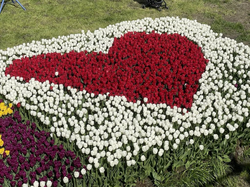 Følelsesmæssig intelligens og kærlighed - hjerte i blomster