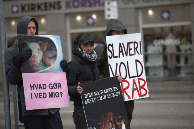 Demonstranterne råber og skriger af Pia K.