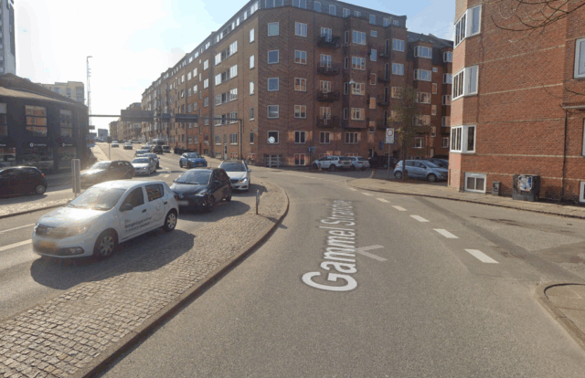 Kvinde forsøgt voldtaget under gåtur med hund