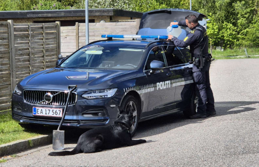 Ringsted: Politiet til stede ved skole