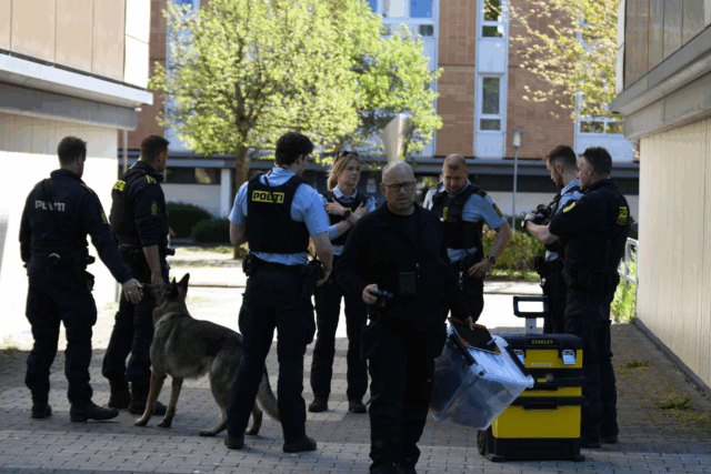 Afgiver flere skud mod vindue