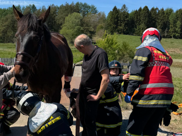 Hest slemt kvæstet i rideulykke: Her er dens tilstand