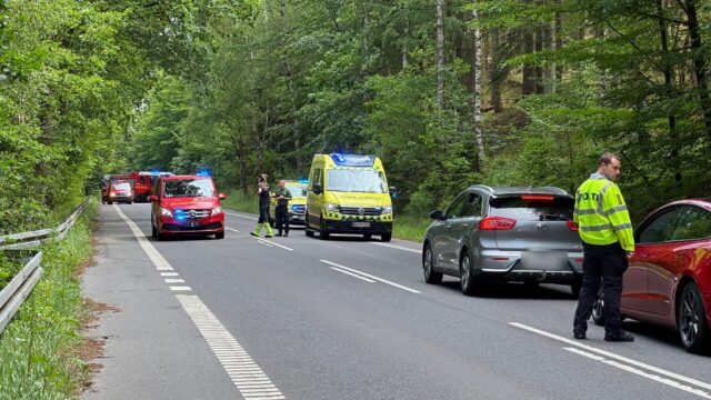 Træ vælter ned over mand i skovområde