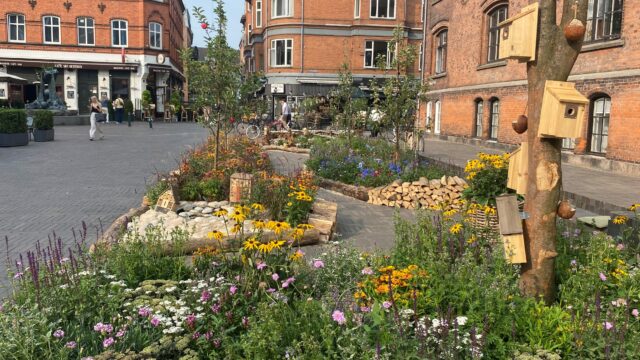 Blomsterfestivalen breder sig over hele Odense: Se hele programmet her